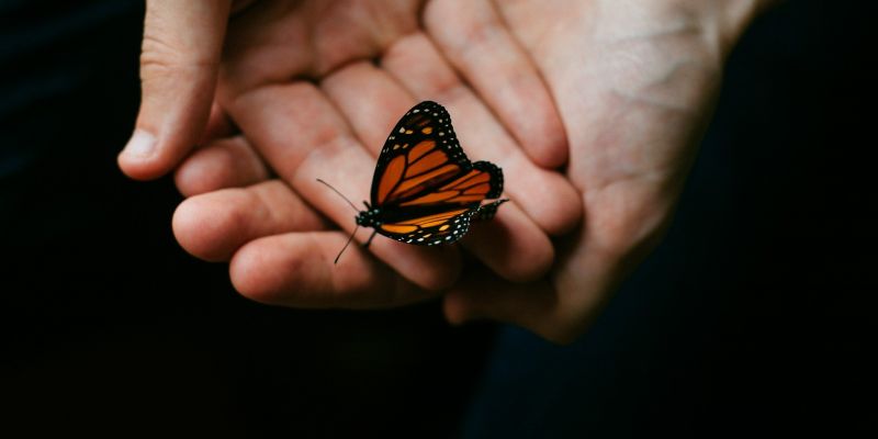 Demenz Beratung Bad Neuenahr-Ahrweiler